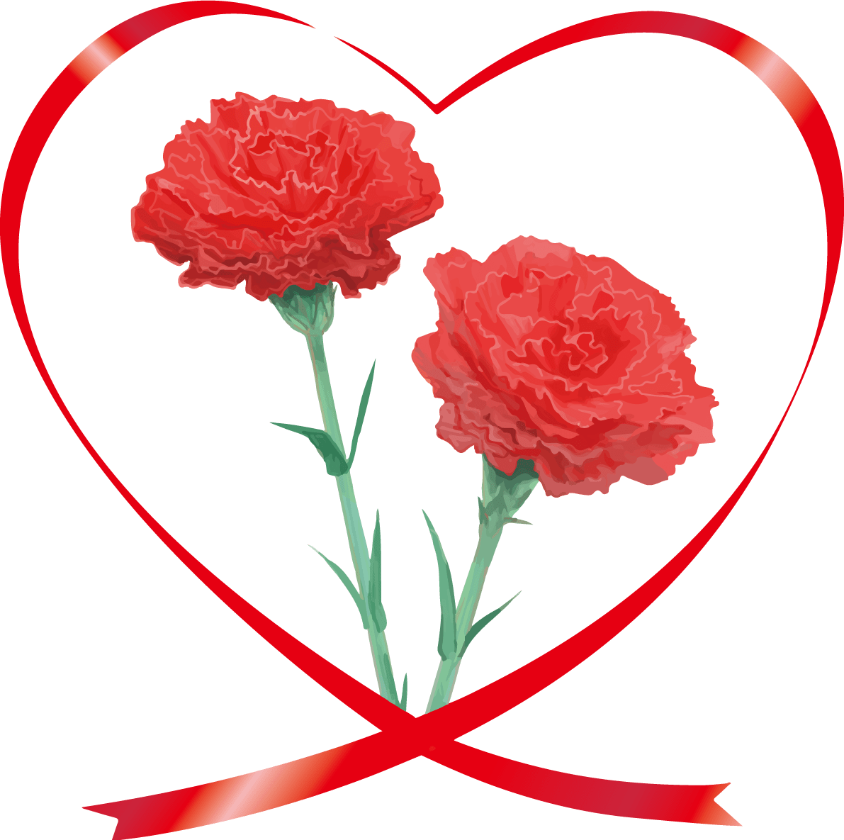 漂亮的红色康乃馨插图(心形的里昂