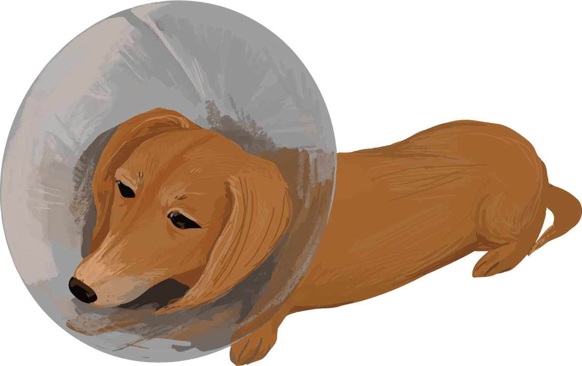 病気のミニチュア ダックスフンド リアル犬の手書き風 イラスト素材 超多くの無料かわいいイラスト素材