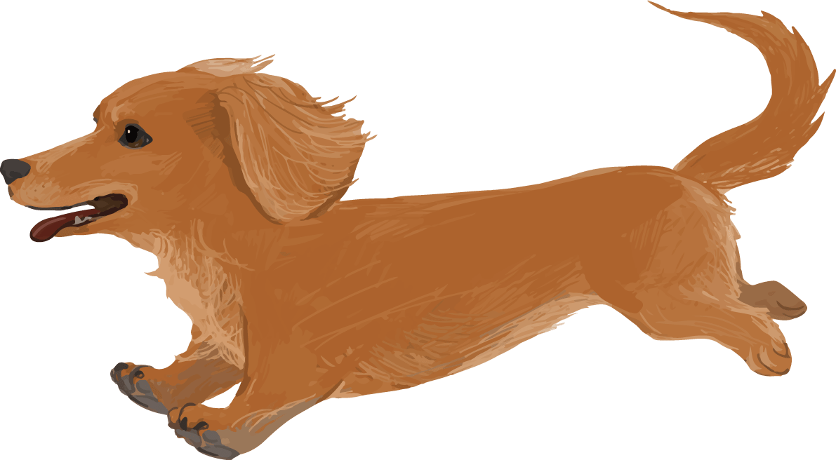 ミニチュア ダックスフンドの走る リアル犬の手書き風 イラスト素材 超多くの無料かわいいイラスト素材