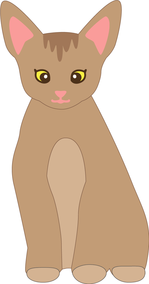 时尚的猫插图"阿比西安"