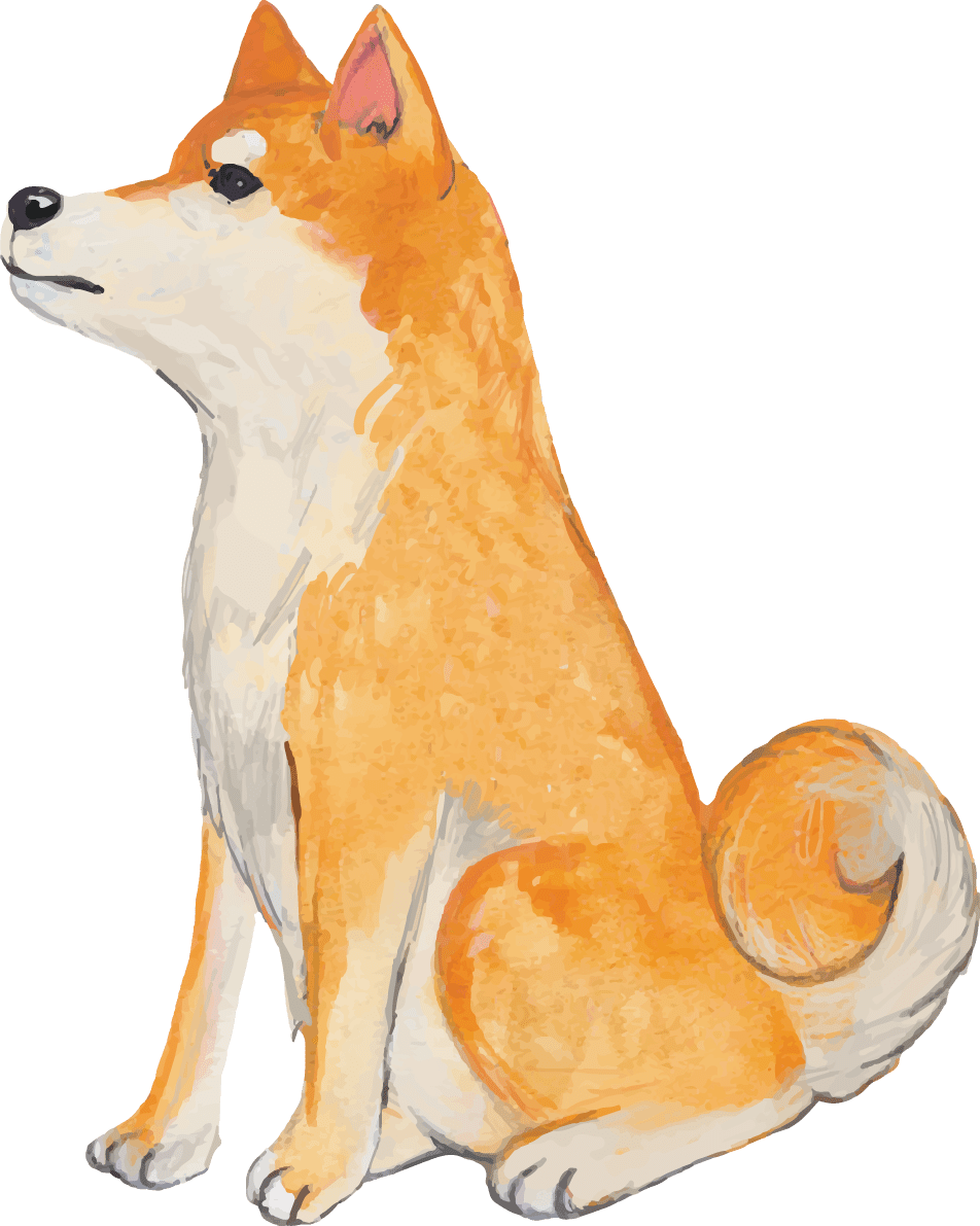 柴犬のお座り 座る リアル手書き風 イラスト素材 超多くの無料かわいいイラスト素材