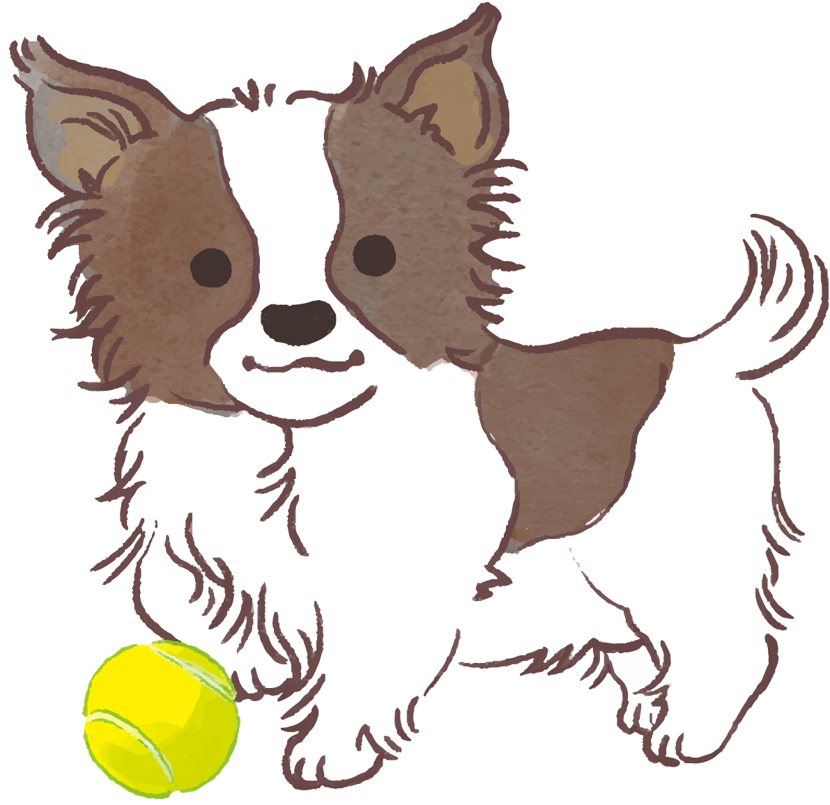 パピヨン子犬 ボールで遊ぶ かわいい犬 イラスト素材 超多くの無料かわいいイラスト素材