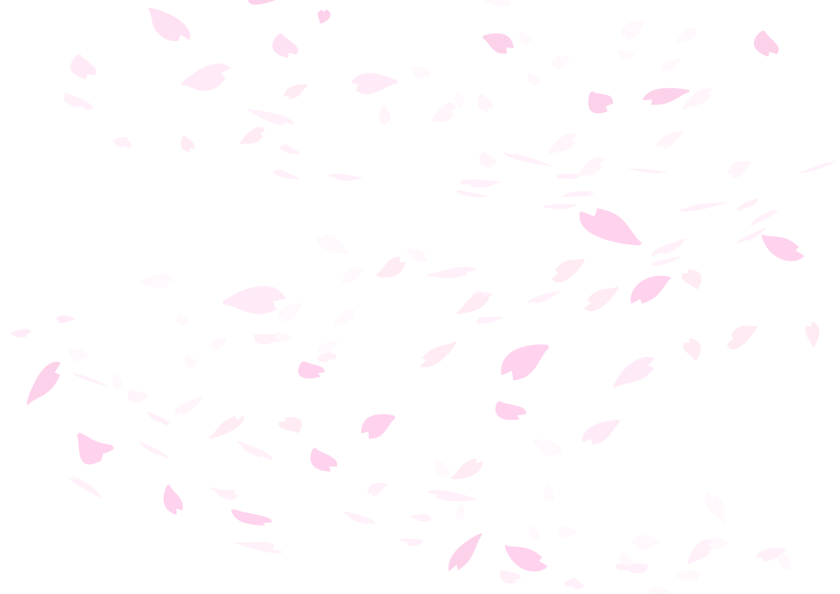 Cherry blossom background transparent illustration No background (cherry blossom petals are scattered fashionably)