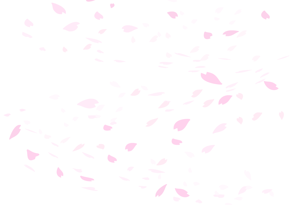 Cherry Blossom Background Transparent Illustration No Background Cherry Blossom Petals Are Scattered Fashionably Illustration Material Lots Of Free Illustration Materials Images