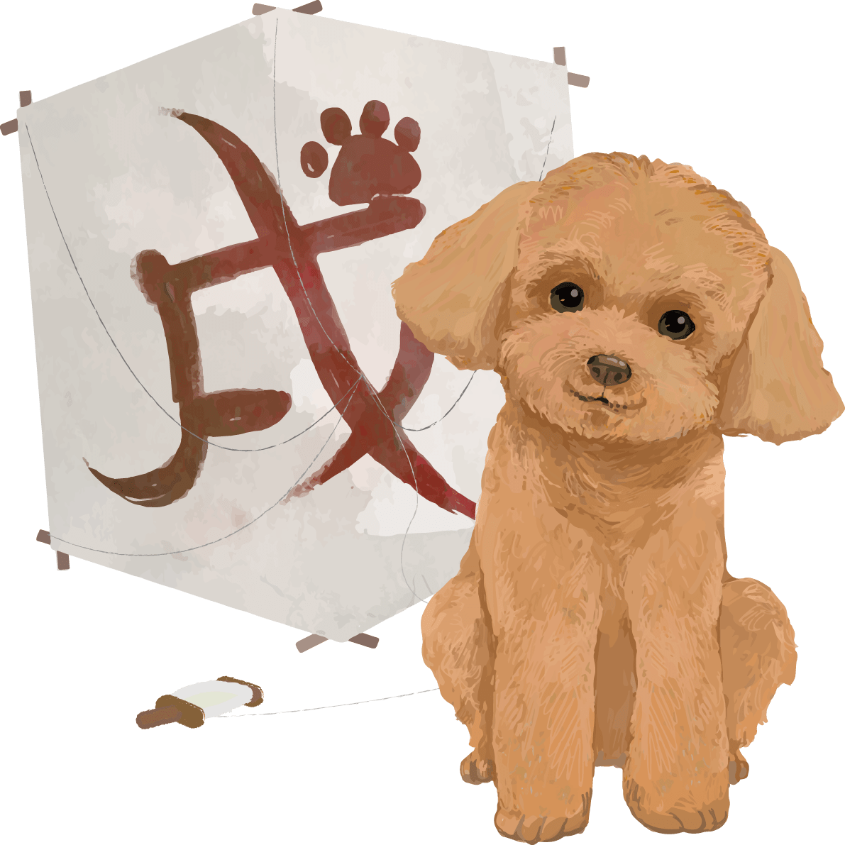 Toy Poodle and Kite-Year 2018 Zodiac