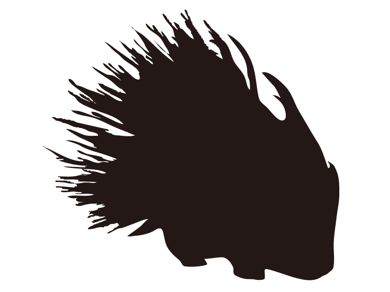Silhouette of porcupine