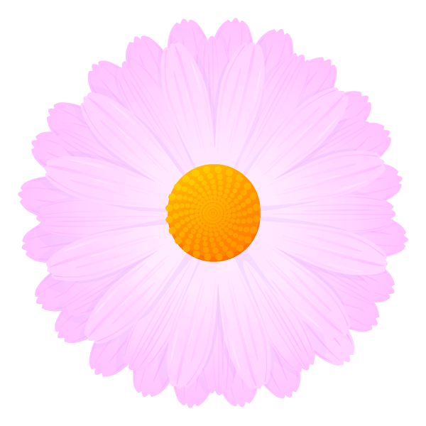 キンセンカの花