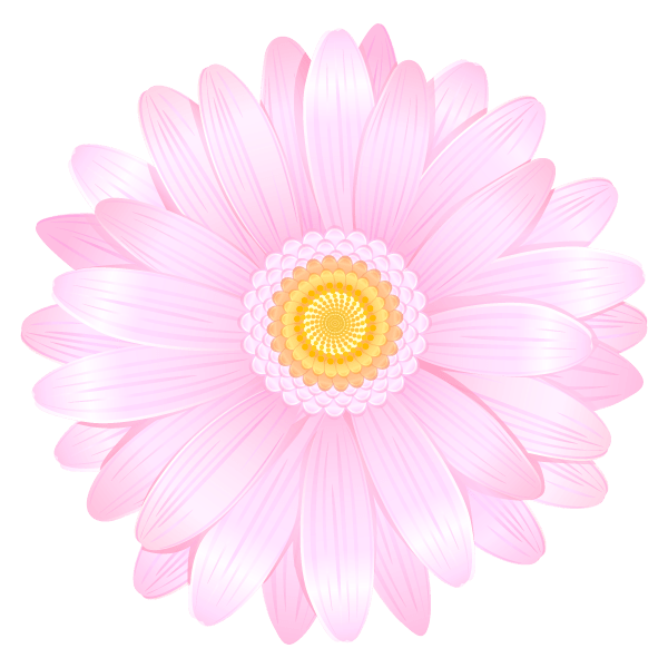 ガーベラの花 イラスト素材 超多くの無料かわいいイラスト素材