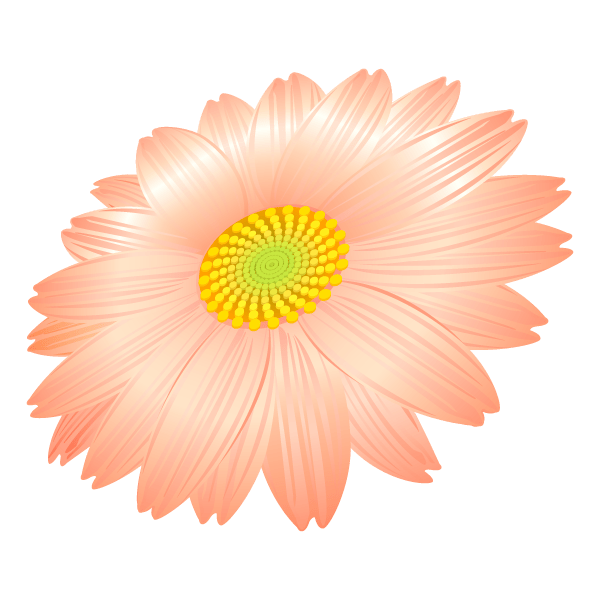 ガーベラの花 イラスト素材 超多くの無料かわいいイラスト素材