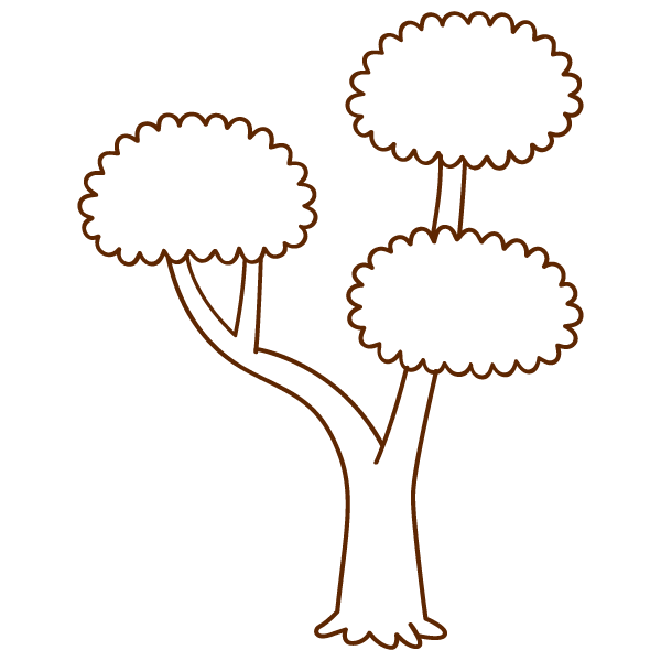 枠線つきの木