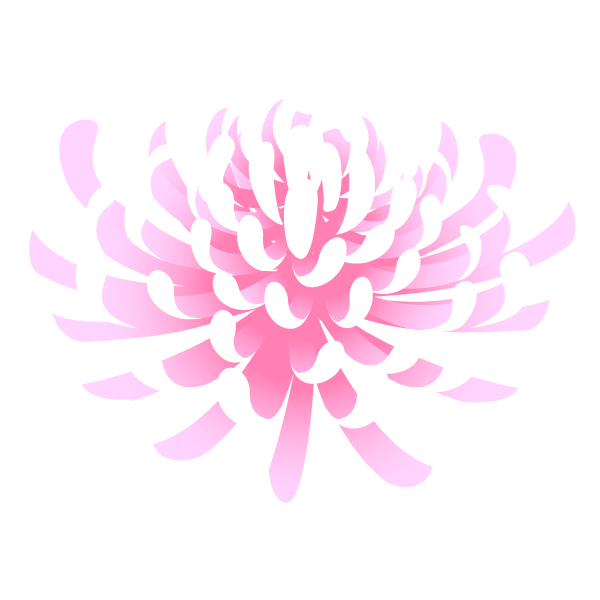 菊の花 イラスト素材 超多くの無料かわいいイラスト素材