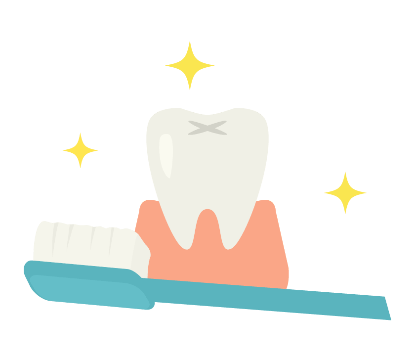 歯の手入れ-歯磨き