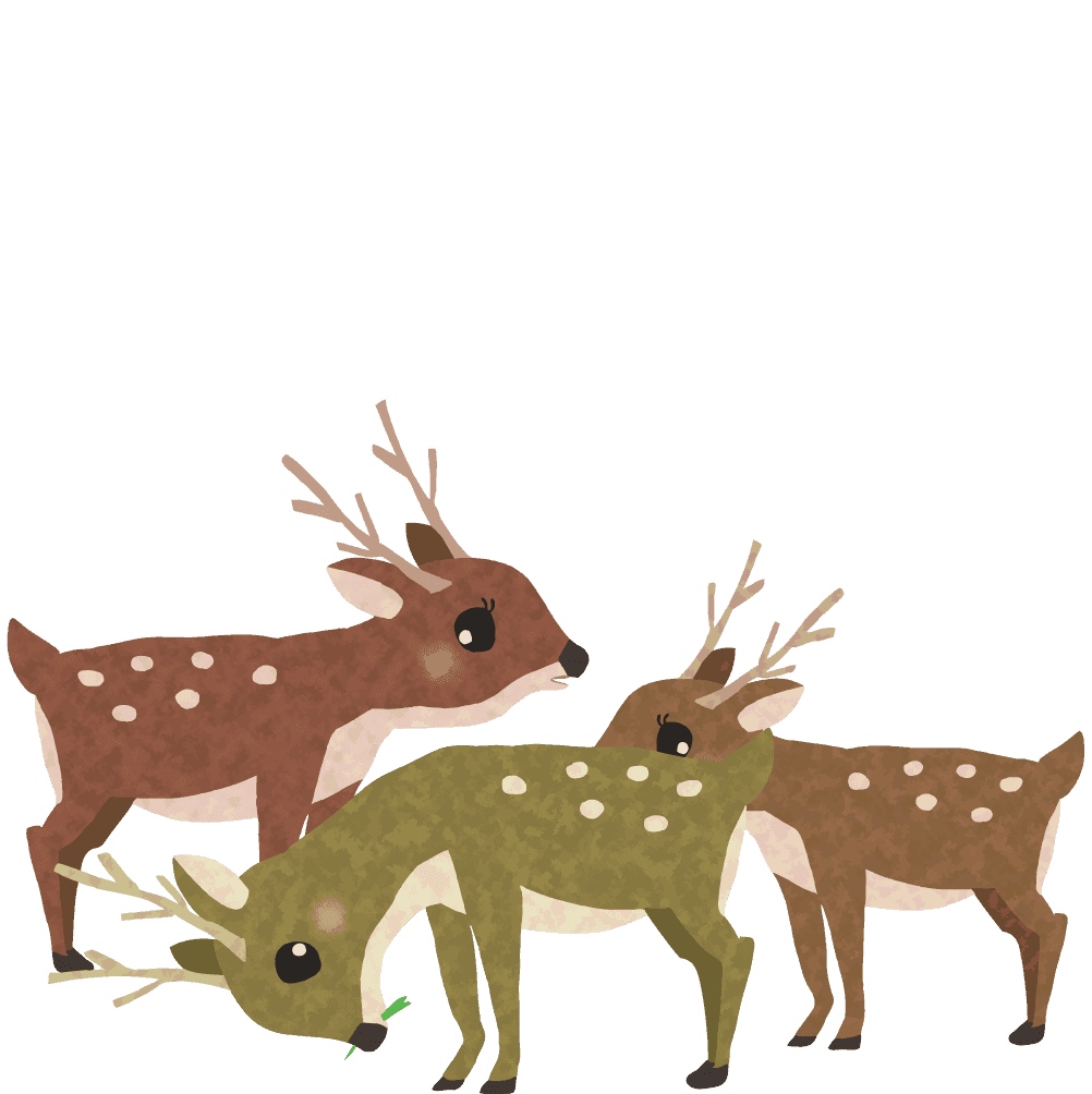 鹿-鹿-父子手绘动物