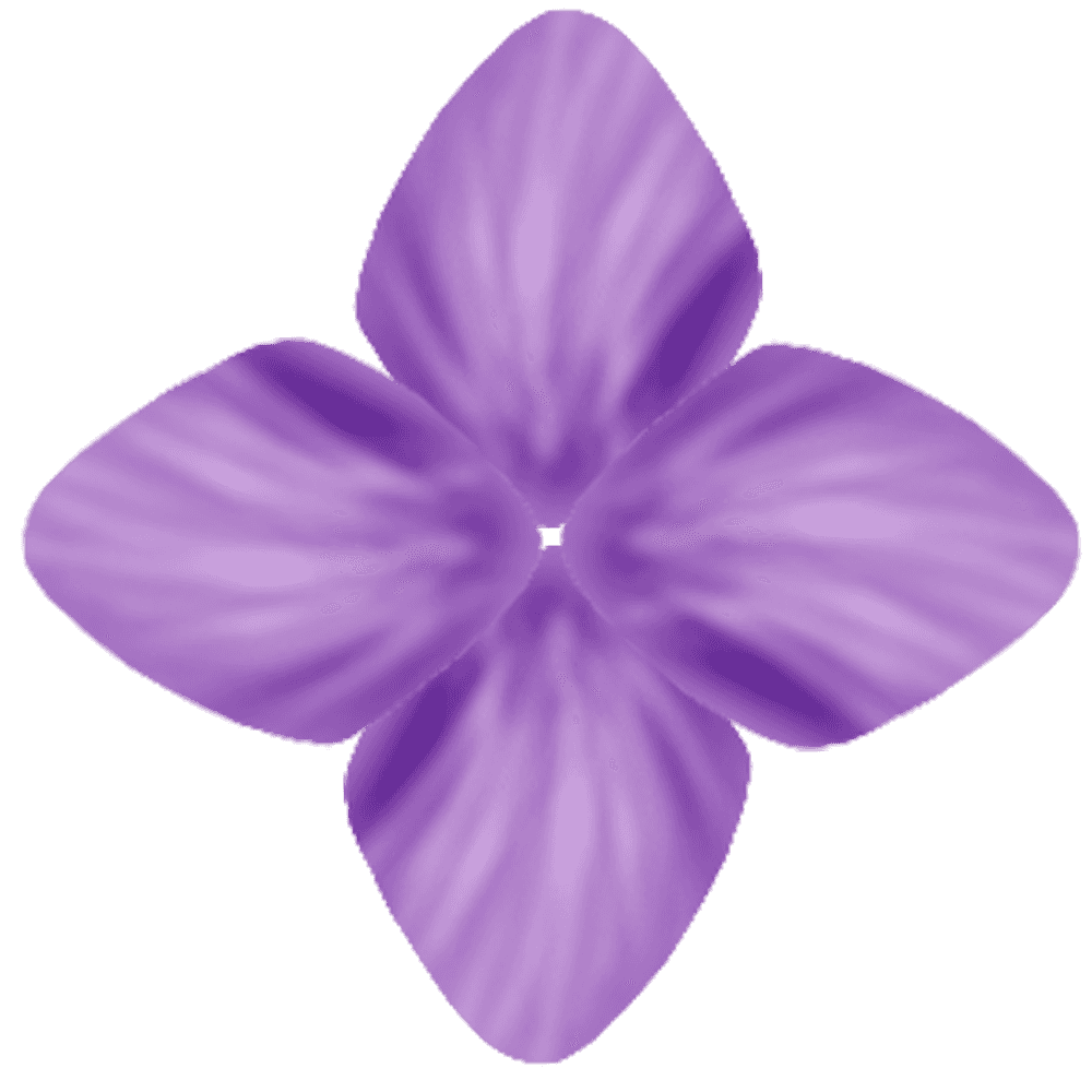 紫阳花-非常花