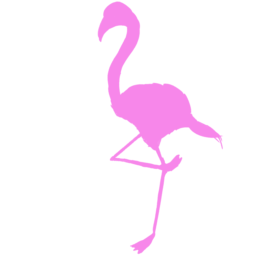 Flamingo Illustration-Cute pink bird