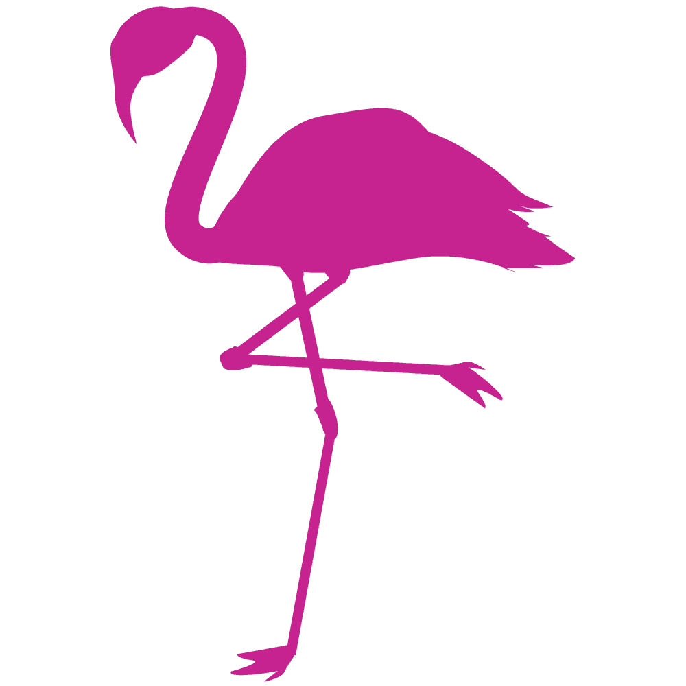 Flamingo Illustration-Cute pink bird
