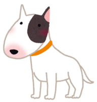 Bull Terrier (dog)