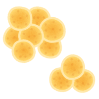 Staphylococcus aureus