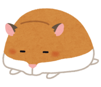 Sleeping hamster