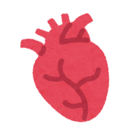 Heart icon (internal organs)