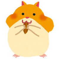 Hamster (Golden hamster)