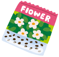 Flower seed