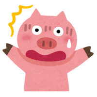 Surprised pig