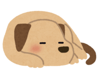 sleeping dog