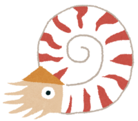 鹦鹉螺(古代生物)