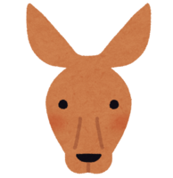 Kangaroo face