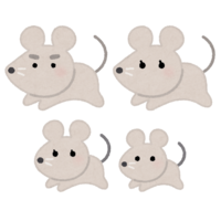 Mouse family (child year)