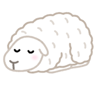 寝る羊