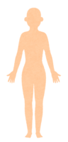Plain human body (female)