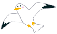 Flying seagull (bird)