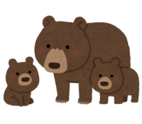 Bear parent and child