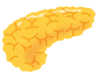 Pancreas (human body)