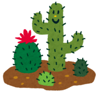 Cactus