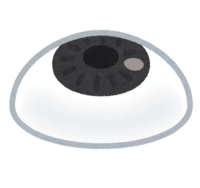 artificial eye