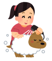 A person who washes a dog