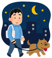 Dog walk at night (male)