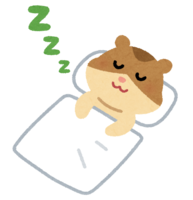 Sleeping hamster character