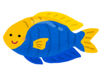 Sena Killris Zumedai character (tropical fish)