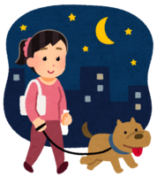 Dog walk at night (female)