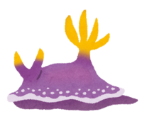 灰姑娘海蛞蝓