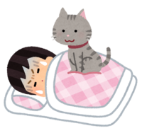 A person (female) who can ride a cat while sleeping