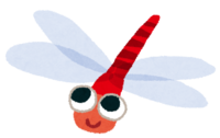 Red dragonfly