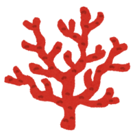 Various coral-coral