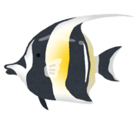 ツノダシ(熱帯魚)
