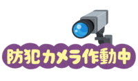 (security camera in operation) characters