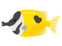 ヒフキアイゴ(熱帯魚)